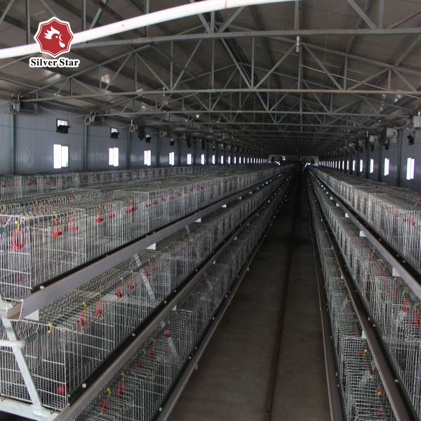 Pullet Chick Breeder Broiler Chicken Cage A Type Layer Egg Hens Galvanized Steel Mesh