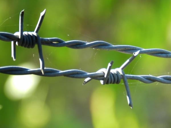 Silver Electric Galvanized Security Barbed Wire Low Carbon Steel BWG 12 14 16