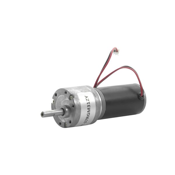 Slow Speed 2-500 Rpm High Torque Gear Motor Low Noise  Micro Spur  Gear Motor for Electric Tools