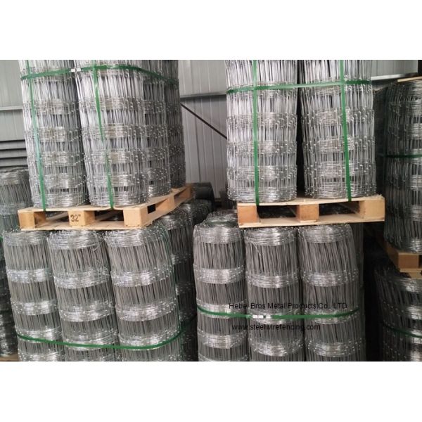 Hinge Joint Knot Galvanized Cattle Fence 0.8m - 2m Height For Woven Grassland