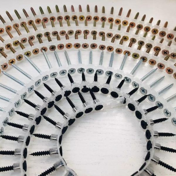 Anti-corrosion galvanized collated drywall screw collated self-tapping screws