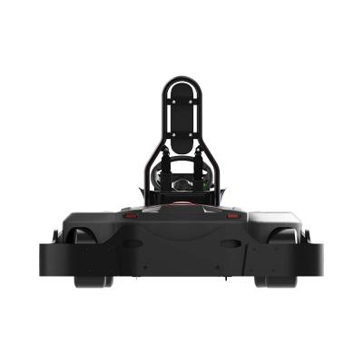 o kart a pilhas 1.2kW do lítio 48V motorizou o kart