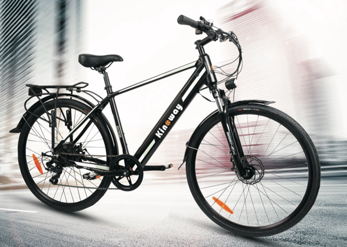 TM-KV-7030 Electric Battery Powered Bike Adult E Bike Support Rear Carrier