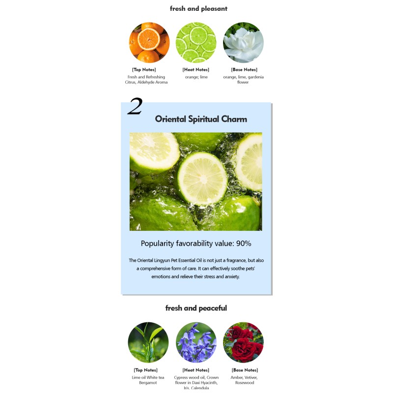 Portable Essential Oil Perfume 101 - 200ML Capacity For Natural Health Aromatherapy