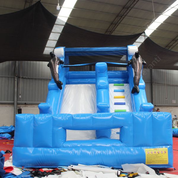 Unisex Inflatable Dry Slide Customized Size Inflatable Castle Slides for Water Play