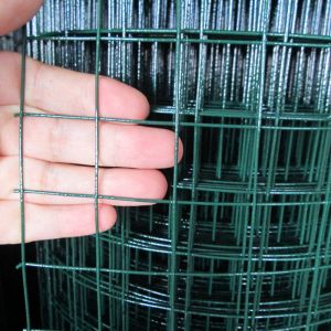 China Supplier Wholesale Black PVC-Coated Welded Wire Mesh Rolls for Fence and Cages