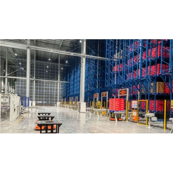 Double Deep Pallet Stacker ASRS, Automatic Storage and Retrieval System