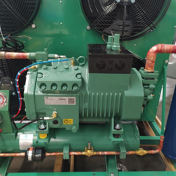 RUIXUE Blast Freezer Cold Storage Room Energy-Saving Cooling Refrigeration System Bitzee Compressor Condensing Unit 160kg