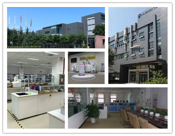 2017 Best quality fat reducing Cryolipolysis Slimming Cryotherapy Machine with CE