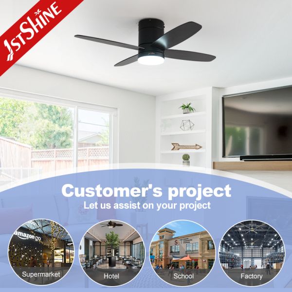 52 Inches Ceiling Fan Light with DC Motor and MDF Blades for Indoor Living Room