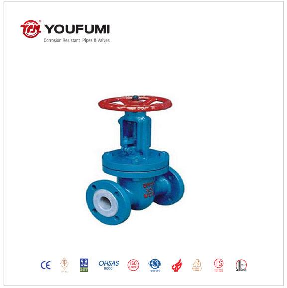 ANSI Double Disc Gate Valve