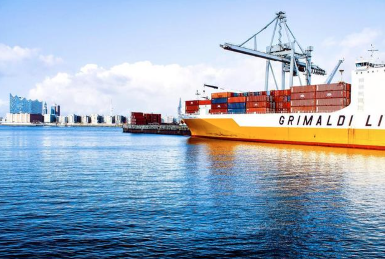 Склад обслуживаний Ddp международной доставки DHL DDP упаковывая от Шанхая Китая к Джордан