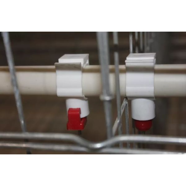 Poultry Cage/cages for Laying Hens Used/chicken Breeding Equipment