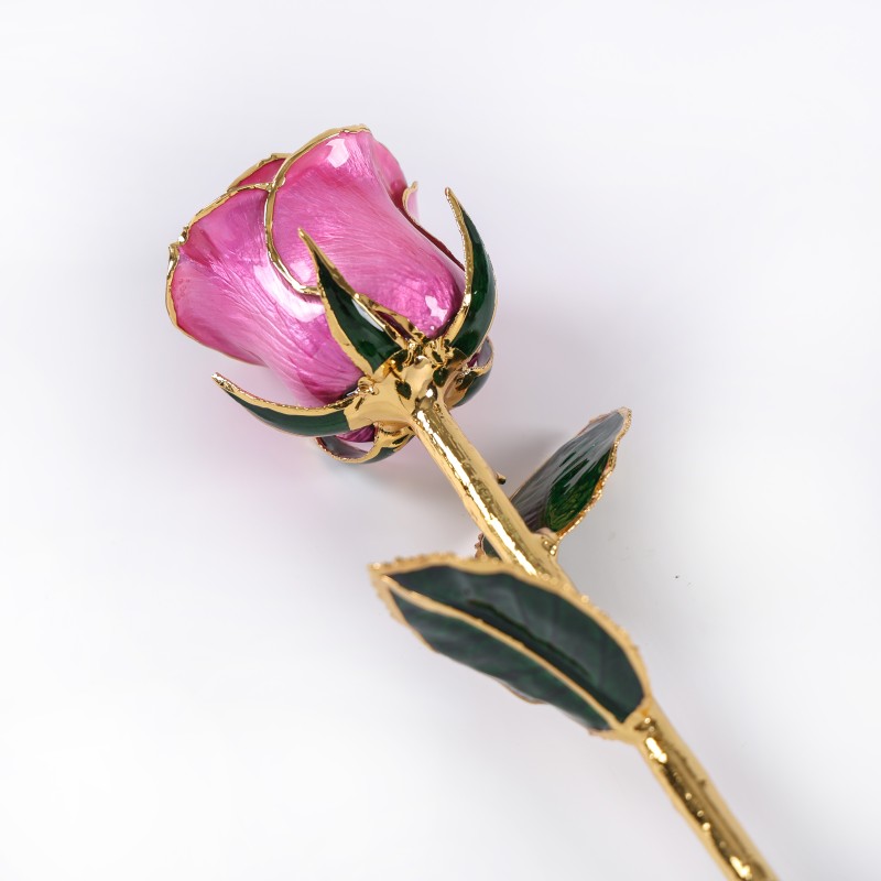 European and American 24k Gold-plated Rose Gold Natural Real Rose Valentine's Day Wedding Anniversary Proposal love Gift