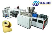 600 kg/H 800 kg/H Linha de produção de folhas de folheado de PET Baixo consumo de energia