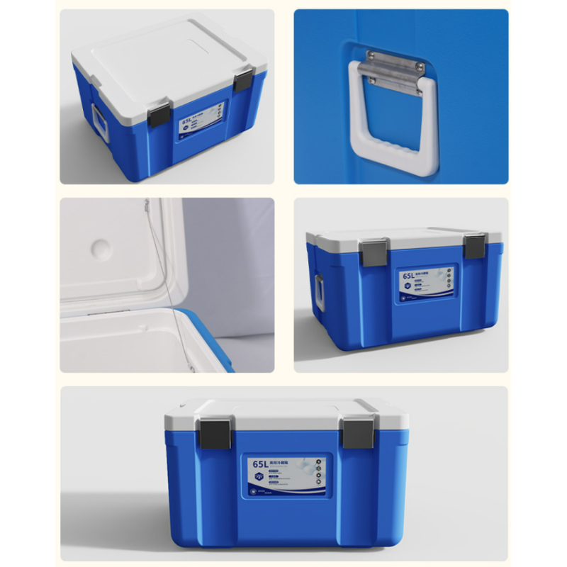 65L Ice Cooler Box with Fixed Ice Packs and 535*410*300mm Internal Size for Camping and Outdoor Use