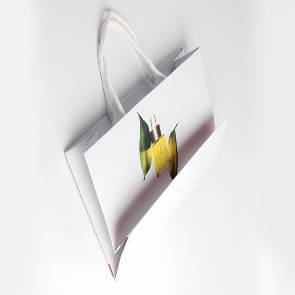 Surface Smooth Paper Gift Box Biodegradable Recycled Custom Luxury Paper Bags