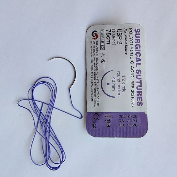 Polyglycolic Acid Surgical Suture