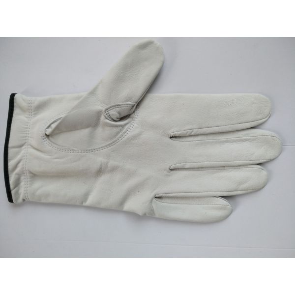 golf glove , golf gloves , glove , gloves