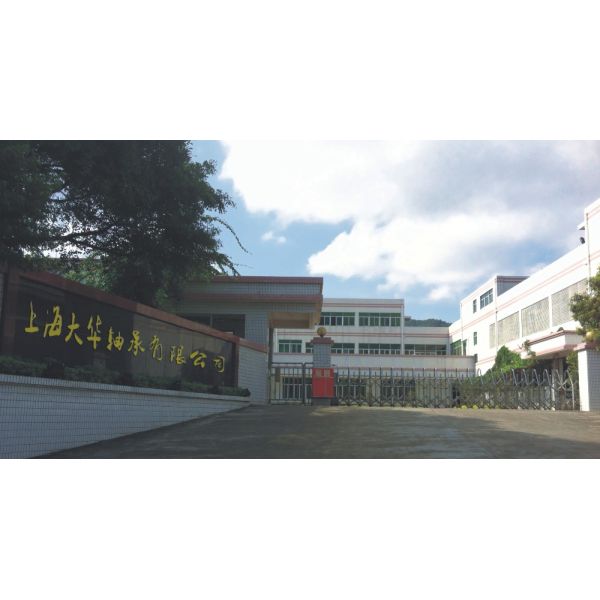 High Accuracy Deep Groove Ball Bearing Front Wheel Hub Bearing Customized