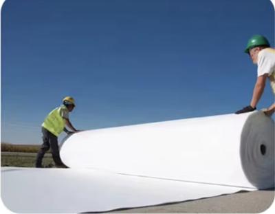 Short Fiber Needle Punched Polyester Non Woven Geotextile Fabric For Landscape Drain