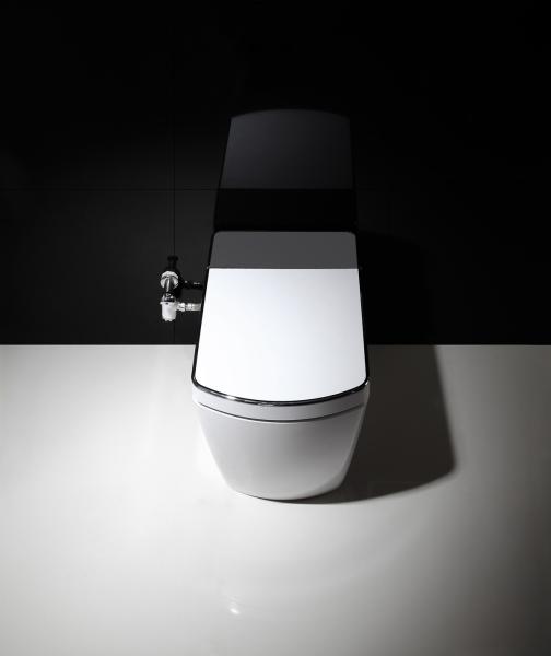 Bathroom Smart Toilet Automatic Washing Function intelligent toilet