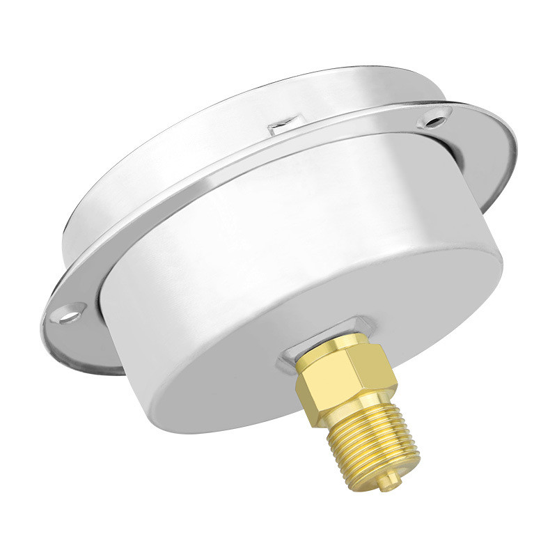 100mm Diaphragm Type 304ss Stainless Steel Back Capsule Pressure Gauge with Flange