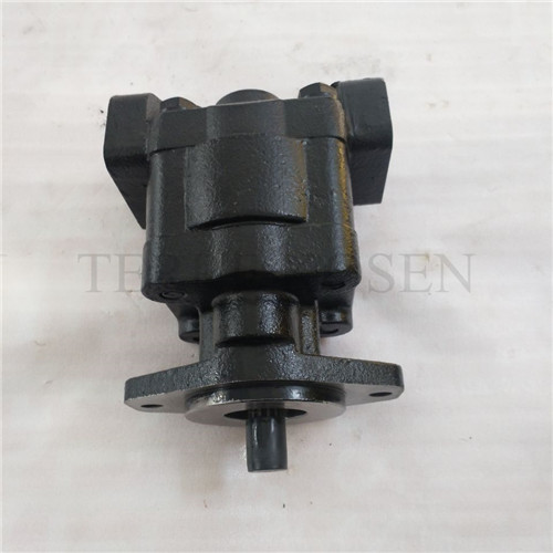 Hydraulic gear pump P330 bushing pump P330A297JFAB17-25