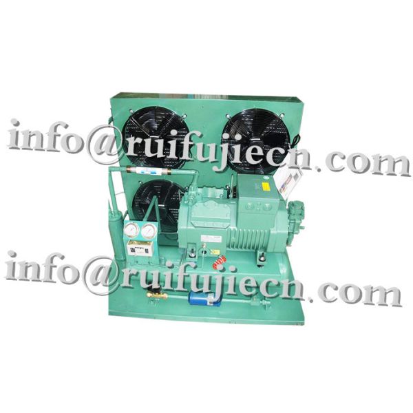 3HP Cool room storage Refrigeration Condensing Units 2EC-3.2-40S 2EES-3-40S