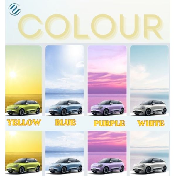 Véhicule électrique pur Dongfeng Nano 01 2024 330Liter Avec une vitesse maximale de 140km/h