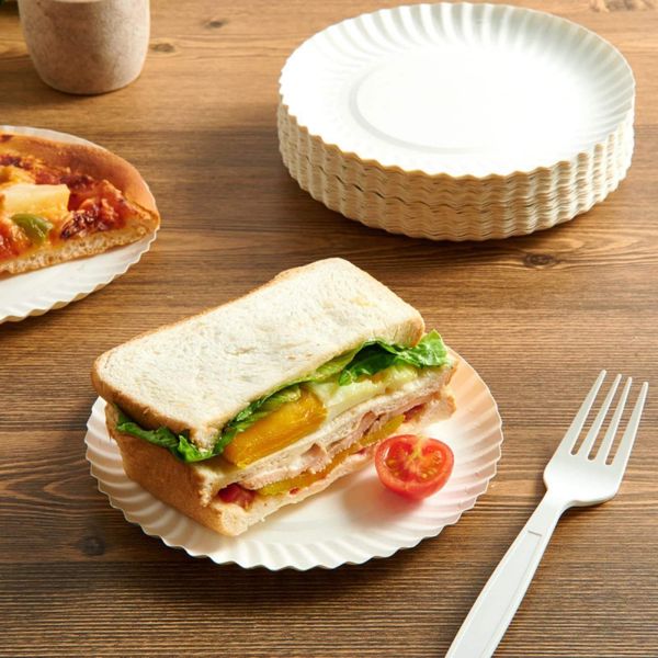 Biodegradable Disposable Paper Plates Ecofriendly Heavy Duty Round Design Suitable Catering Events Parties Picnics and Outdoor