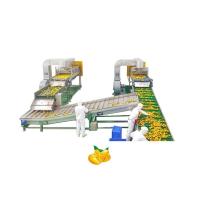 Línea de transformación automática del mango Juice Machine Industrial Commercial