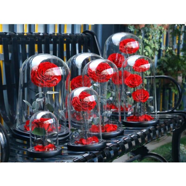 Hot Selling Preserved Rose with Glass Dome Mini Artificial Flowers Preserved Flowers for Valentines day Gifts