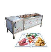 Máquina automática de pelar frutos secos de soya, patatas, jengibre y zanahorias SGS