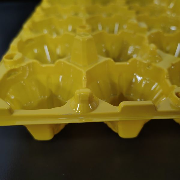 15 Hole Plastic Egg Packaging Egg Bottom Cover Separation Disposable Egg Tray