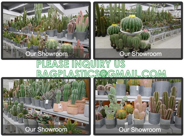 Artificial Succulent Plants - Realistic Artificial Flowering Cactus, Fake Succulent Plant Decor for Home Office