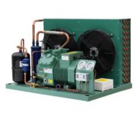 Unidade de condensação da refrigeração do congelador da sala fria do compressor do armazenamento frio de baixa temperatura