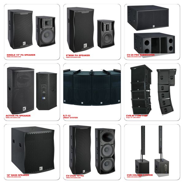 Single 10 Inch Active Line Array Speaker System Birch Plywood
