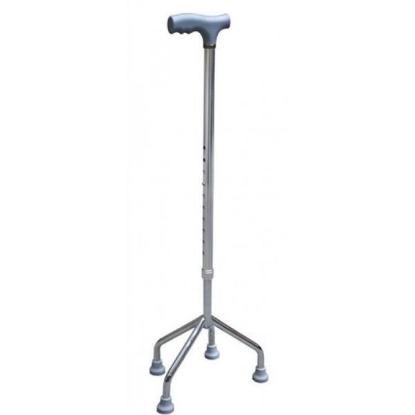 Cane