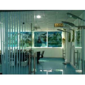 Spring-lighting Electronics Co.,Ltd