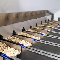 Máquina de clasificación de pistachos de alta velocidad de gran capacidad con certificado CE para todas las variedades