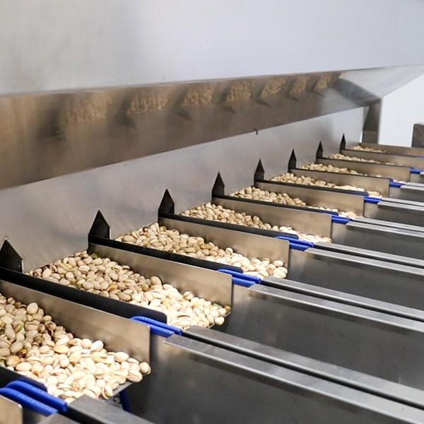 Large Capacity High Speed Pistachio Sorting Machine With CE Certificate For All Varieties