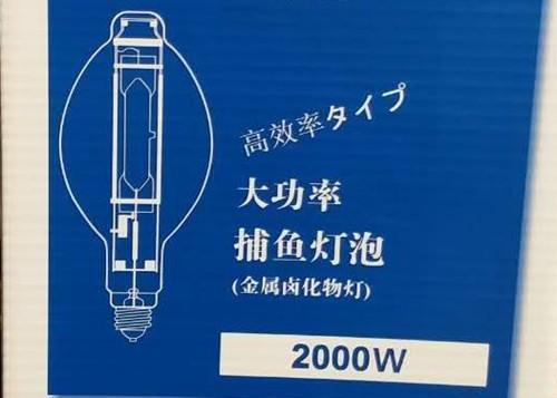 BT220 2000w MH Bulb Fish Lamp HID Metal Halide Squid Fishing Lamp
