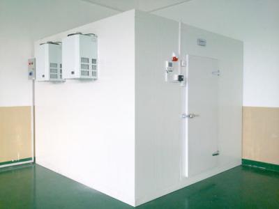 Alto - caminhada da baixa temperatura 42KG/M3 em Coldroom Colorbond branco