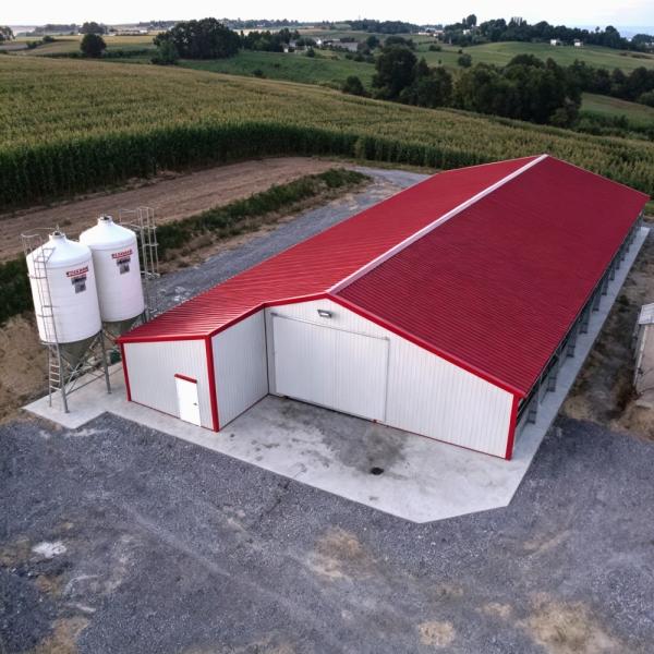Chicken Shed Steel Structure Anti-rust Steel Construction for Long-term Use in Livestock Industry