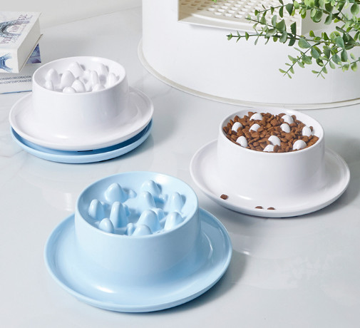 Raised Pet Ceramic Slow Bowl For Cats And Small Dogs Feeding Station