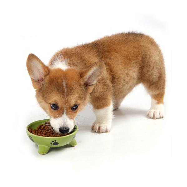 Forma arredondada do alimentador dos alimentos para animais de estimação da cerâmica para o presente/a decoração/lembrança home
