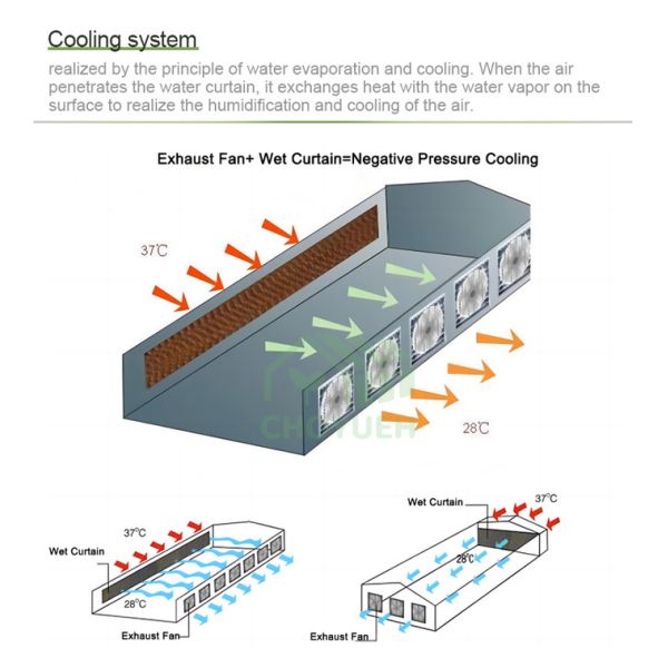 Hot Dip Glavanized Steel Polytunnel Greenhouse 10X30m Single Span