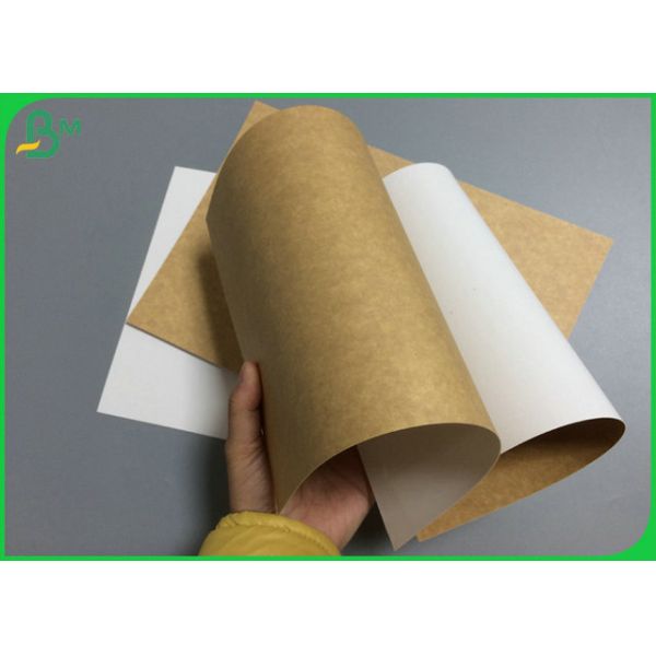 325gsm White Coated On Brown Kraft Cardboard Paper With Foodgrade