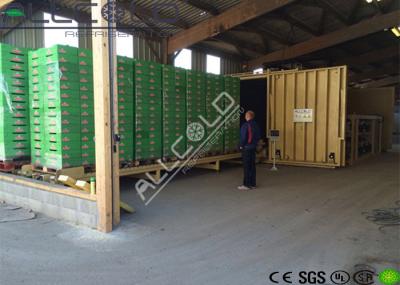 Vácuo forte de 12 páletes da endívia - equipamento refrigerando, vácuo - sistema de refrigeração